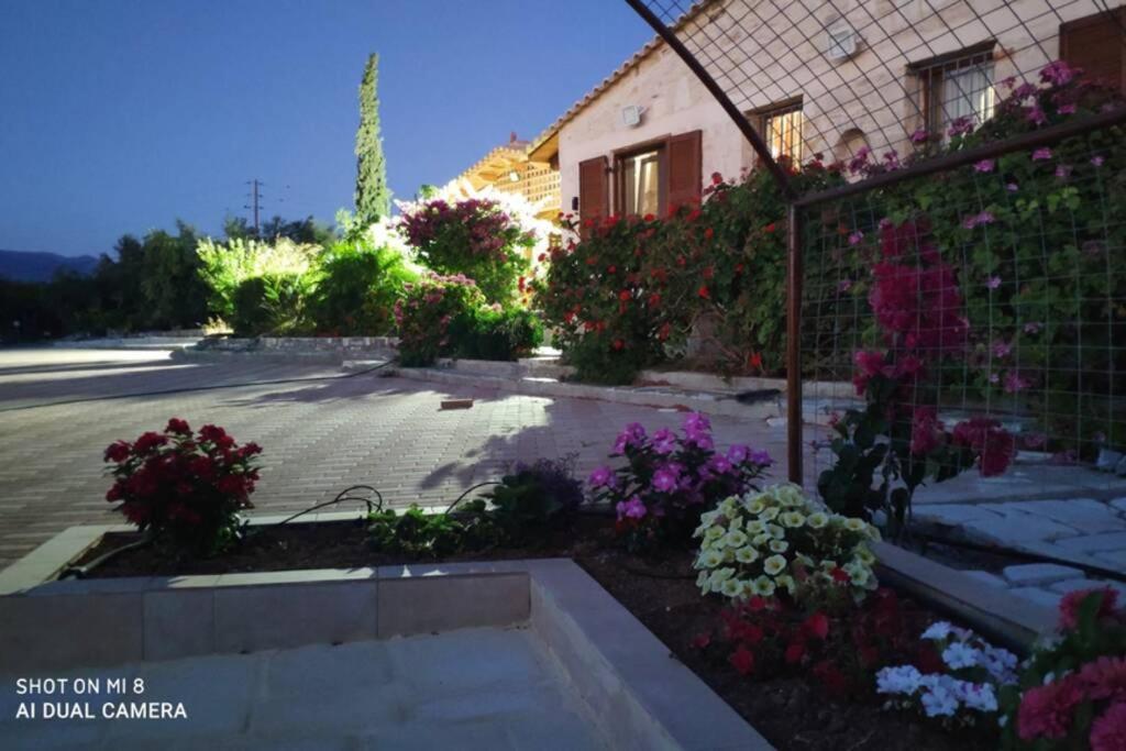 Stonehouse Olivelia - Afrathias Beach Tympáki المظهر الخارجي الصورة